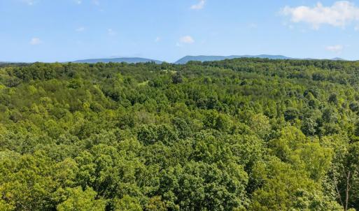 Photo #21 of 1091 Silver Place, Moneta, VA 1.3 acres