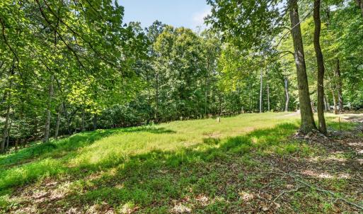 Photo #5 of 1091 Silver Place, Moneta, VA 1.3 acres