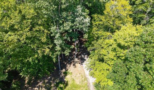 Photo #9 of 1091 Silver Place, Moneta, VA 1.3 acres