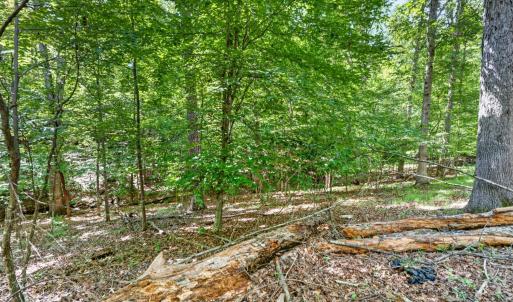 Photo #18 of 1091 Silver Place, Moneta, VA 1.3 acres
