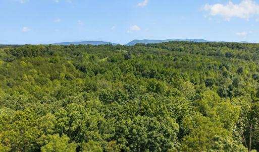 Photo #21 of 1091 Silver Place, Moneta, VA 1.3 acres