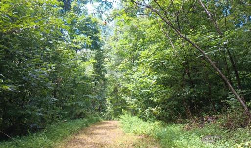 Photo #10 of Battery Hill Lane, Tyro, VA 7.3 acres