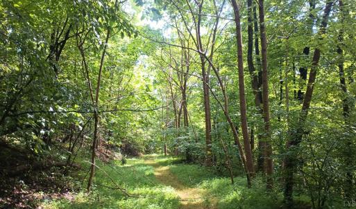 Photo #20 of Battery Hill Lane, Tyro, VA 7.3 acres