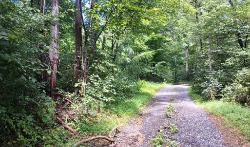 Photo #9 of Battery Hill Lane, Tyro, VA 7.3 acres