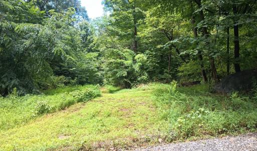 Photo #8 of Battery Hill Lane, Tyro, VA 7.3 acres