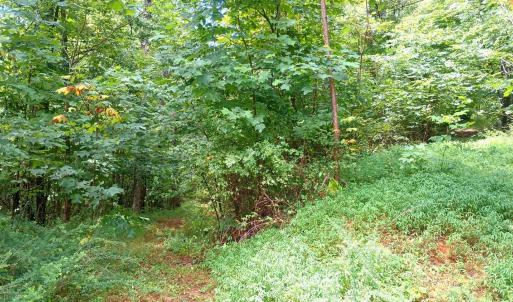 Photo #13 of Battery Hill Lane, Tyro, VA 7.3 acres