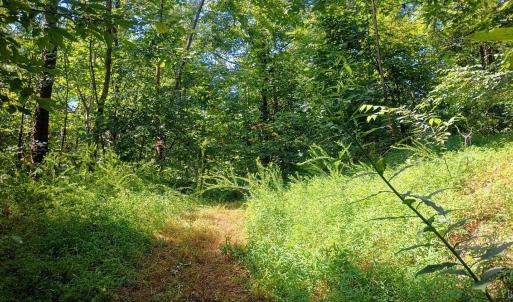 Photo #5 of Battery Hill Lane, Tyro, VA 7.3 acres