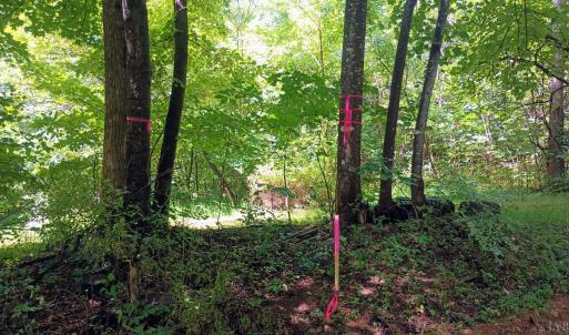 Photo #6 of Battery Hill Lane, Tyro, VA 7.3 acres