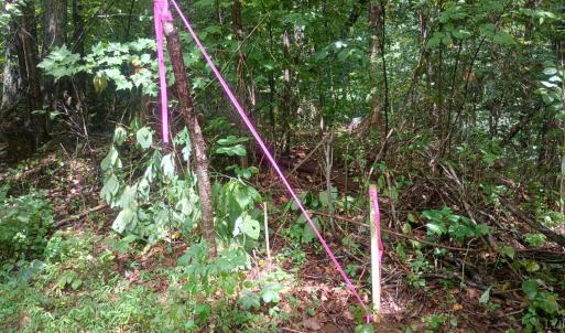 Photo #21 of Battery Hill Lane, Tyro, VA 7.3 acres