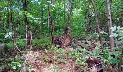 Photo #12 of Battery Hill Lane, Tyro, VA 7.3 acres