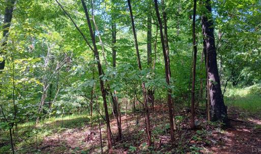 Photo #23 of Battery Hill Lane, Tyro, VA 7.3 acres