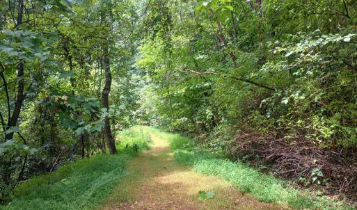 Photo #11 of Battery Hill Lane, Tyro, VA 7.3 acres