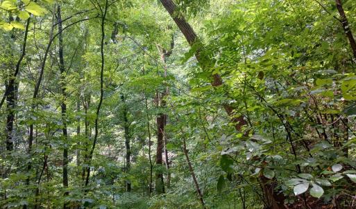 Photo #19 of Battery Hill Lane, Tyro, VA 7.3 acres