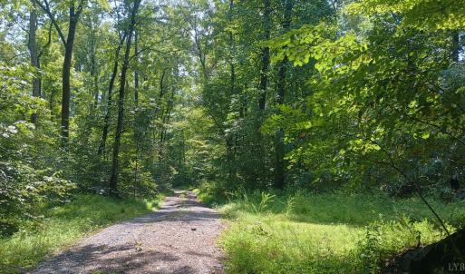 Photo #7 of Battery Hill Lane, Tyro, VA 7.3 acres