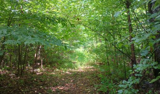 Photo #24 of Battery Hill Lane, Tyro, VA 7.3 acres