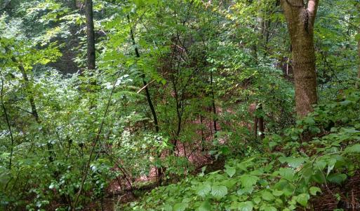 Photo #15 of Battery Hill Lane, Tyro, VA 7.3 acres