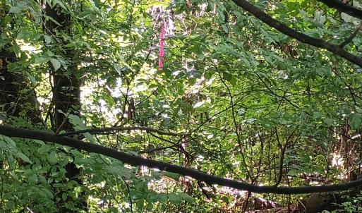 Photo #27 of Battery Hill Lane, Tyro, VA 7.3 acres