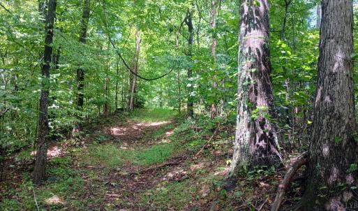 Photo #22 of Battery Hill Lane, Tyro, VA 7.3 acres