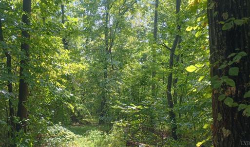 Photo #1 of Battery Hill Lane, Tyro, VA 7.3 acres