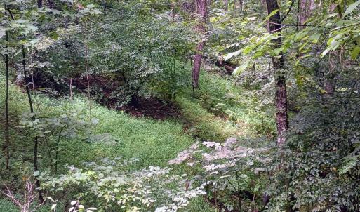 Photo #18 of Battery Hill Lane, Tyro, VA 7.3 acres