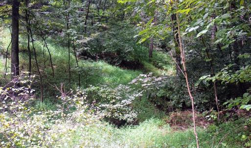 Photo #16 of Battery Hill Lane, Tyro, VA 7.3 acres