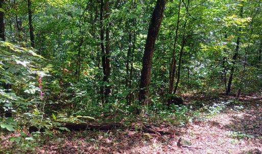Photo #3 of Battery Hill Lane, Tyro, VA 7.3 acres