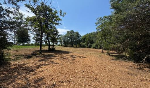 Photo #1 of Watt Abbitt Road, Appomattox, VA 42.7 acres
