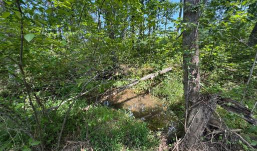 Photo #5 of Watt Abbitt Road, Appomattox, VA 42.7 acres