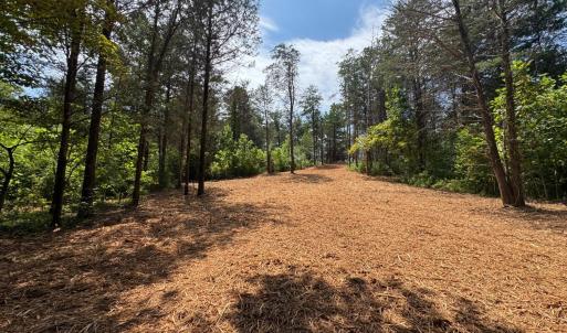 Photo #9 of Watt Abbitt Road, Appomattox, VA 42.7 acres