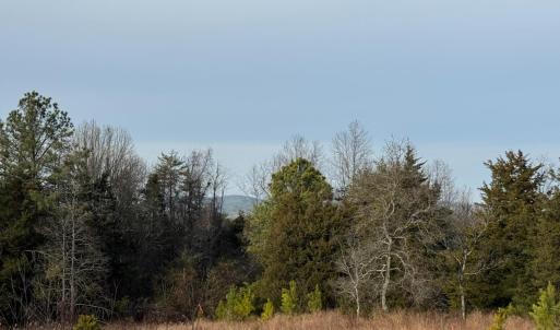Photo #17 of Watt Abbitt Road, Appomattox, VA 42.7 acres