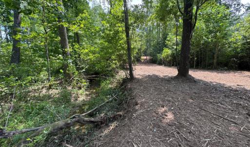 Photo #6 of Watt Abbitt Road, Appomattox, VA 42.7 acres