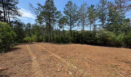 Photo #4 of Watt Abbitt Road, Appomattox, VA 42.7 acres