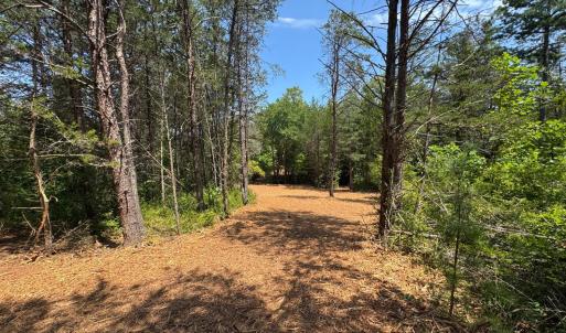 Photo #2 of Watt Abbitt Road, Appomattox, VA 42.7 acres
