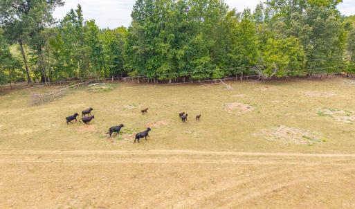 Photo #33 of Cody Rd, Gretna, VA 51.3 acres