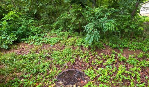 Photo #3 of Lee Grant, Lot 1 Avenue, Appomattox, VA 1.0 acres