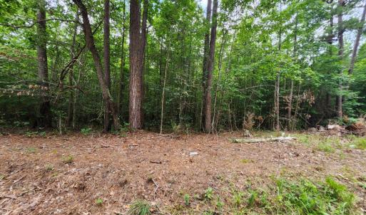 Photo #5 of Chestnut Road, Nathalie, VA 53.3 acres