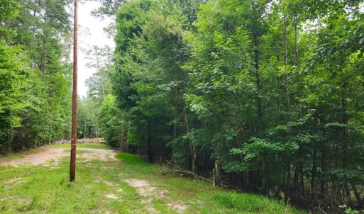 Photo #3 of Chestnut Road, Nathalie, VA 53.3 acres