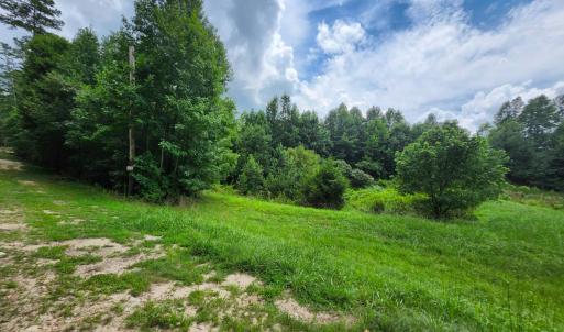 Photo #7 of Chestnut Road, Nathalie, VA 53.3 acres