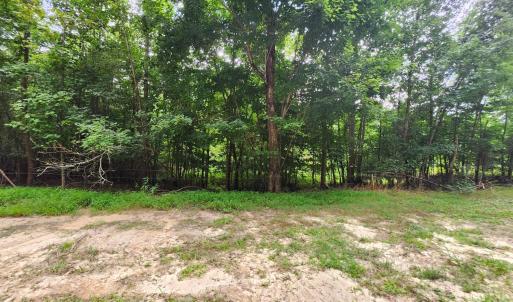 Photo #6 of Chestnut Road, Nathalie, VA 53.3 acres