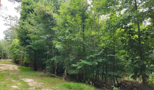 Photo #2 of Chestnut Road, Nathalie, VA 53.3 acres