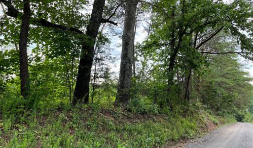 Photo #4 of 3756 Sycamore Creek Road, Buckingham, VA 4.0 acres