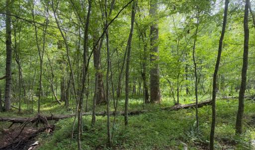 Photo #8 of 3756 Sycamore Creek Road, Buckingham, VA 4.0 acres