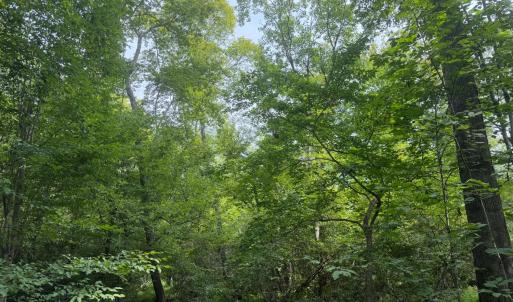 Photo #5 of 1 Sycamore Creek Road, Buckingham, VA 5.6 acres
