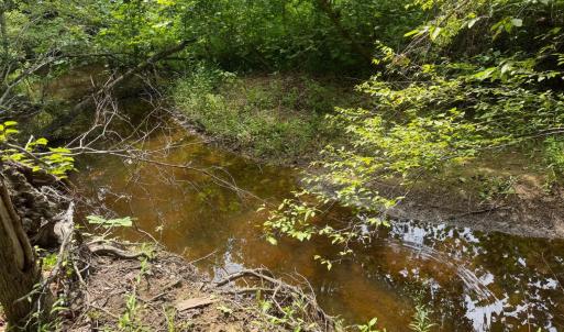 Photo #7 of 1 Sycamore Creek Road, Buckingham, VA 5.6 acres