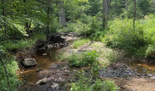 Photo #9 of 1 Sycamore Creek Road, Buckingham, VA 5.6 acres