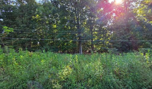 Photo #3 of Rolling Hill Drive, Forest, VA 0.7 acres