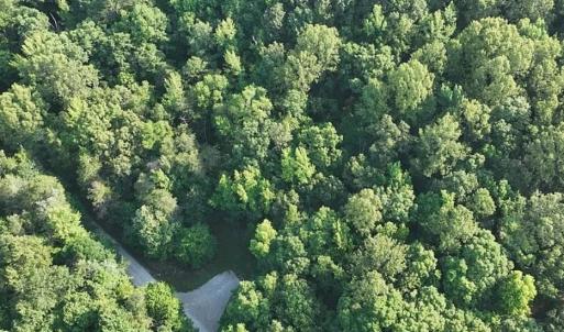 Photo #5 of 3 Strawberry Run, Crozier, VA 6.6 acres