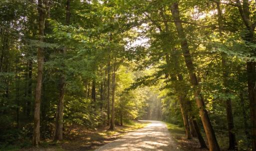 Photo #2 of 3 Strawberry Run, Crozier, VA 6.6 acres