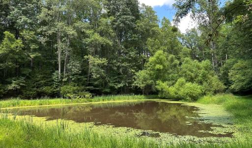 Photo #3 of 3 Strawberry Run, Crozier, VA 6.6 acres