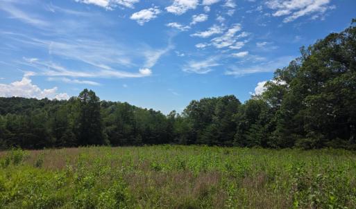 Photo #30 of Maury Place, Appomattox, VA 33.9 acres
